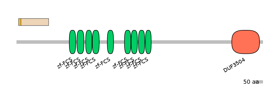 RnoEX0102050-EXC