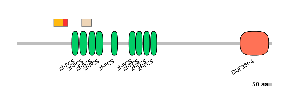 RnoEX0102055-INC