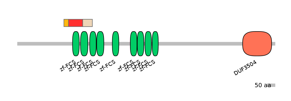 RnoEX0102056-INC