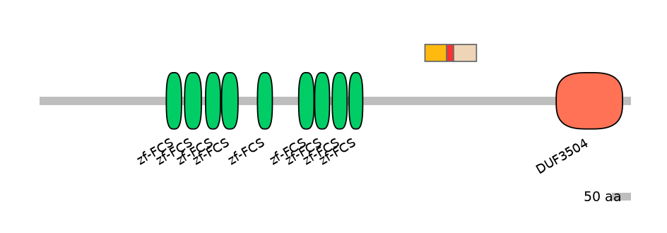 RnoEX0102065-INC