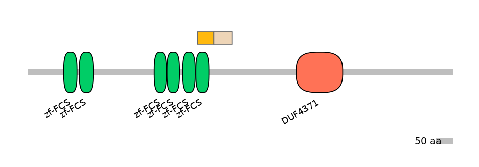 RnoEX0102072-EXC