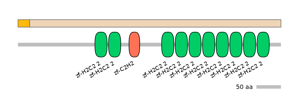 RnoEX0102159-EXC