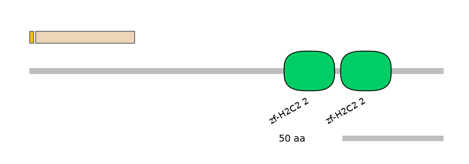 RnoEX0102163-EXC