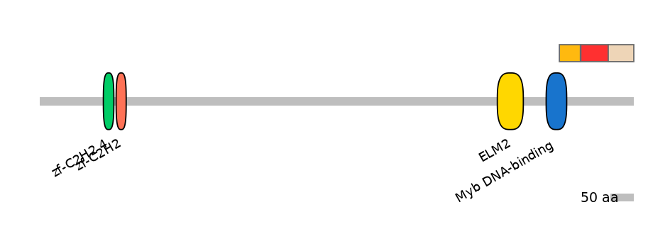 RnoEX6001401-INC