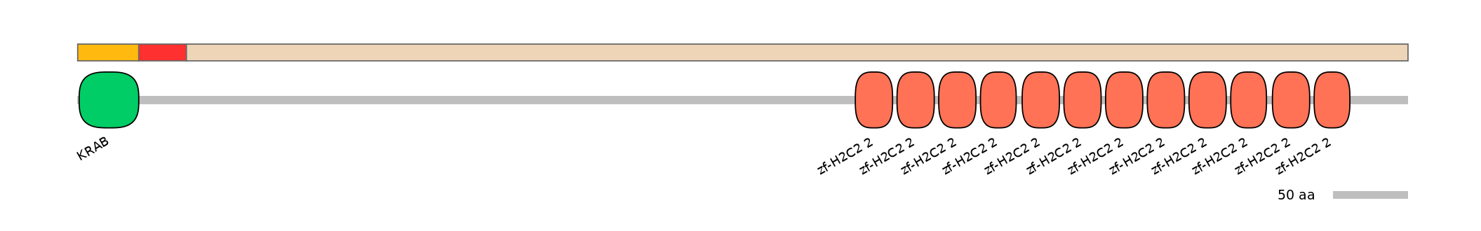 RnoEX6001636-INC