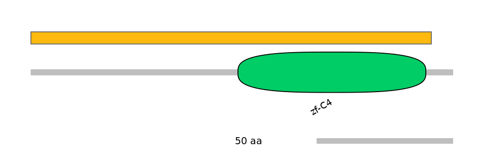 RnoEX6003285-EXC