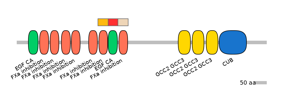 RnoEX6004267-INC