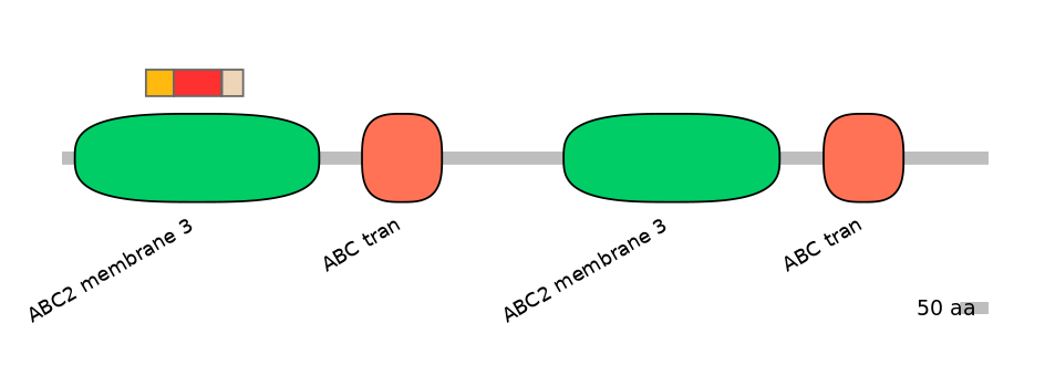 RnoEX6004678-INC