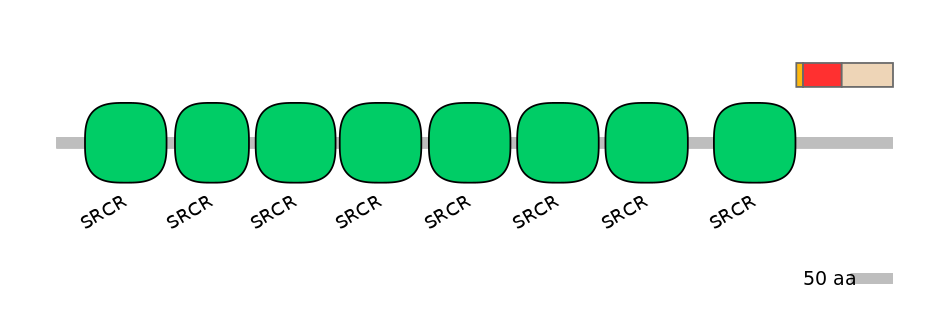 RnoEX6005455-INC
