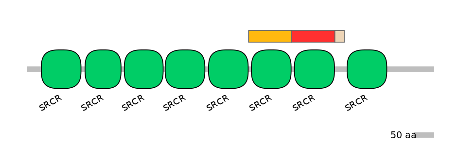 RnoEX6005459-INC