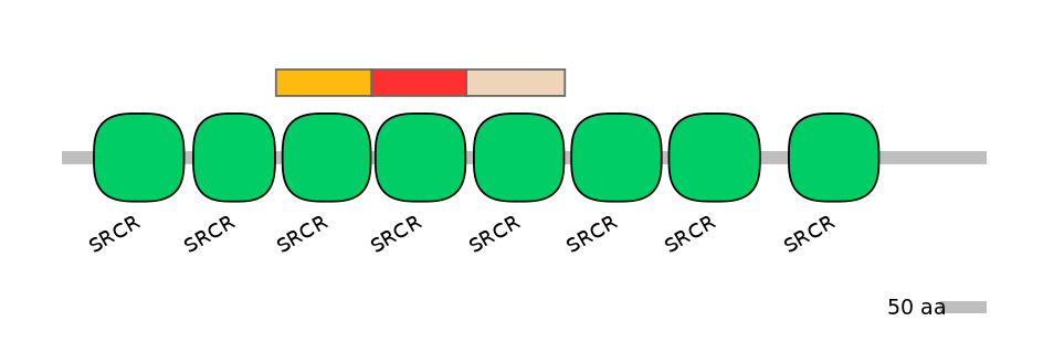 RnoEX6005461-INC