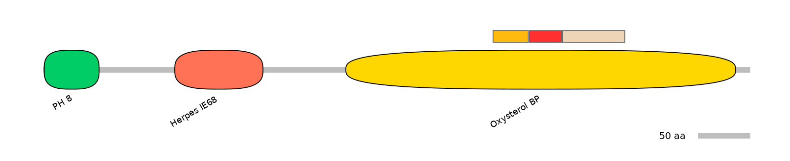 RnoEX6006659-INC