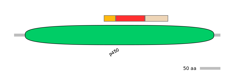 RnoEX6007631-INC