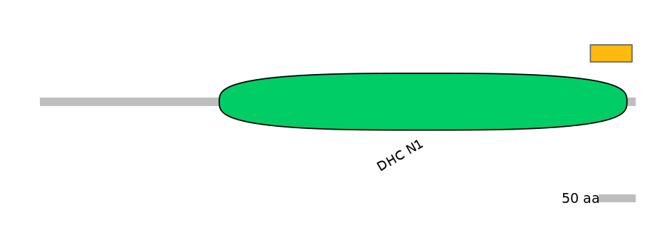 RnoEX6009081-EXC