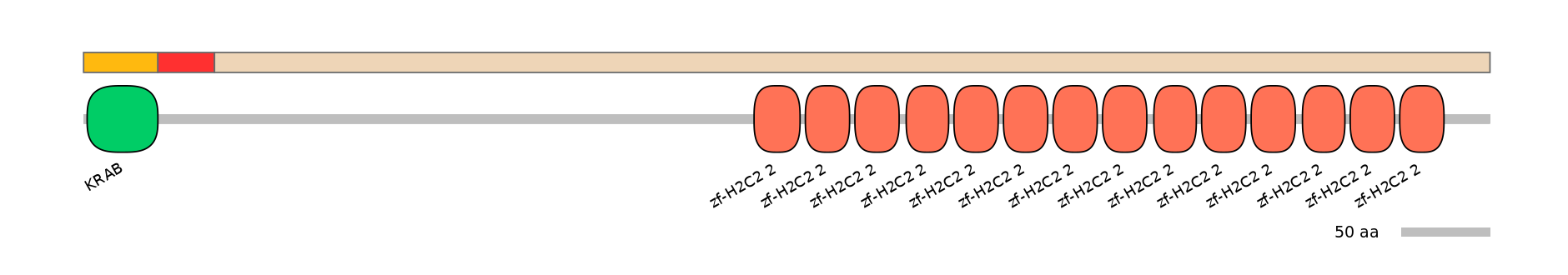 RnoEX6009387-INC
