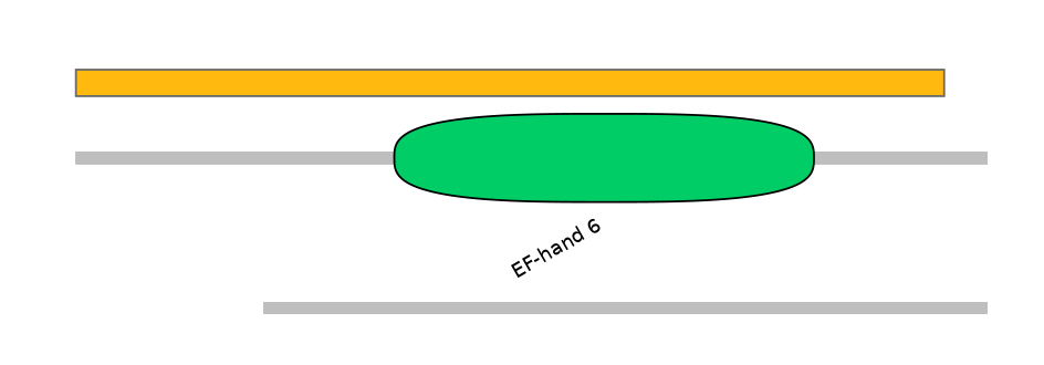 RnoEX6011160-EXC