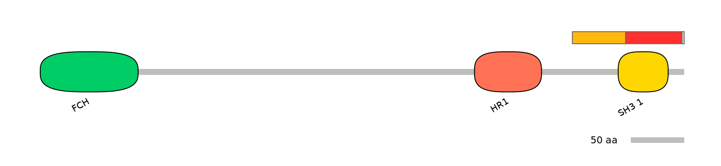 RnoEX6011383-INC