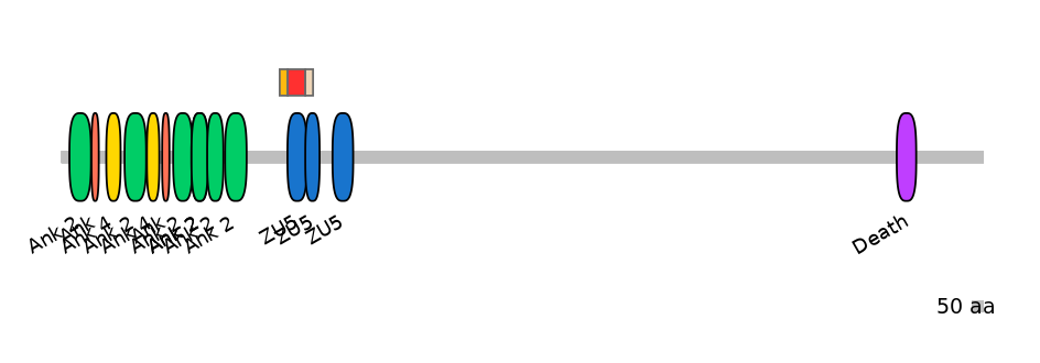 RnoEX6011469-INC