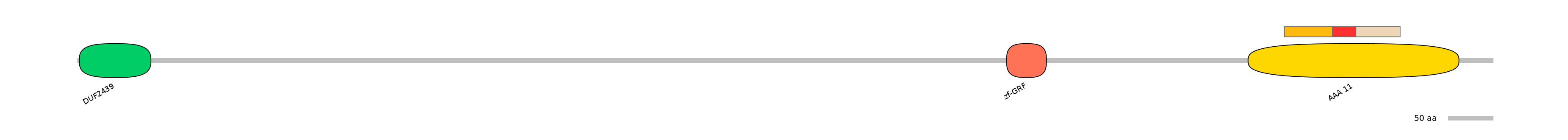 RnoEX6011490-INC