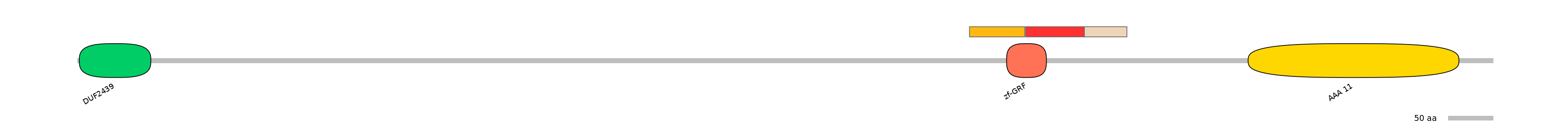 RnoEX6011492-INC
