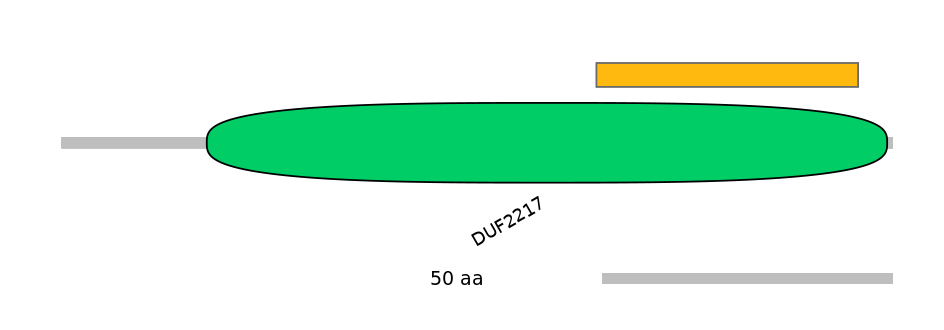RnoEX6011958-EXC