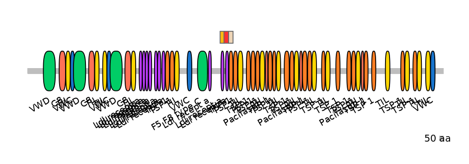 RnoEX6013489-INC