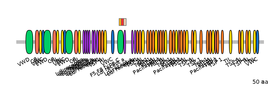 RnoEX6013493-INC