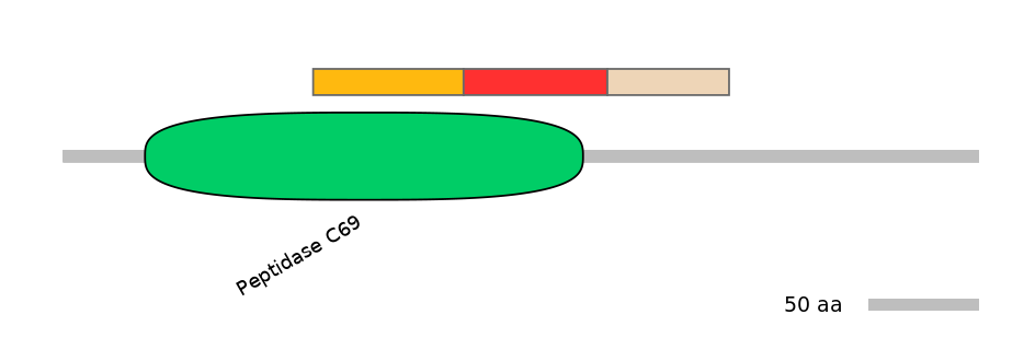 RnoEX6013635-INC
