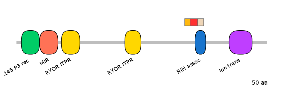 RnoEX6014525-INC
