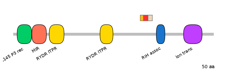 RnoEX6014526-INC