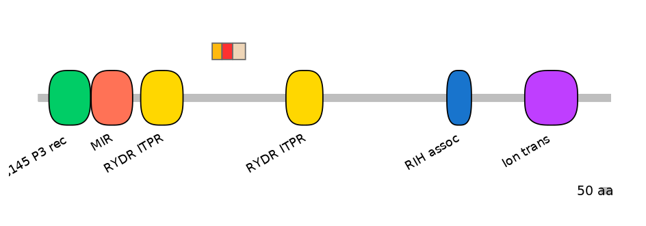 RnoEX6014538-INC