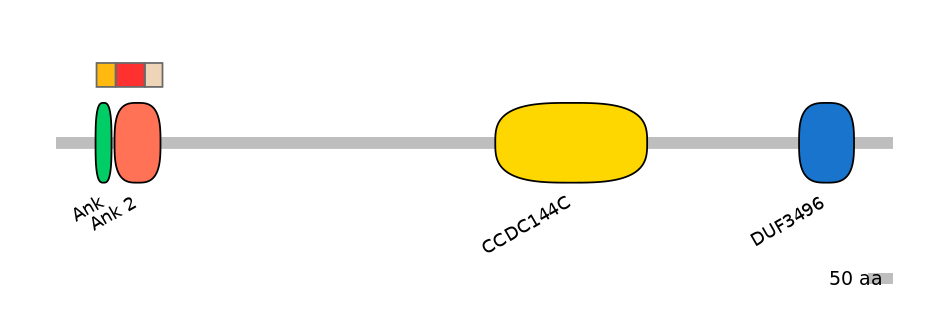 RnoEX6014791-INC