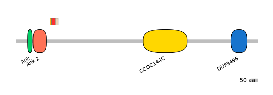 RnoEX6014792-INC