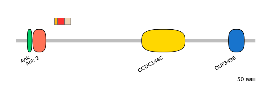 RnoEX6014793-INC