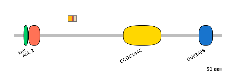 RnoEX6014796-INC