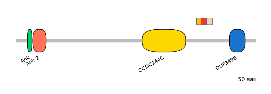 RnoEX6014804-INC