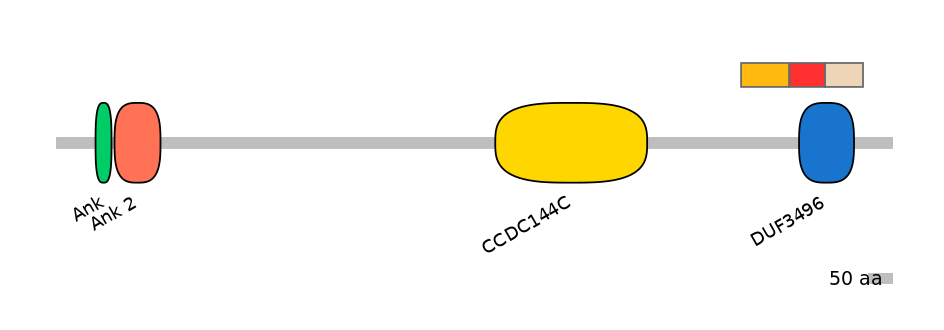 RnoEX6014805-INC