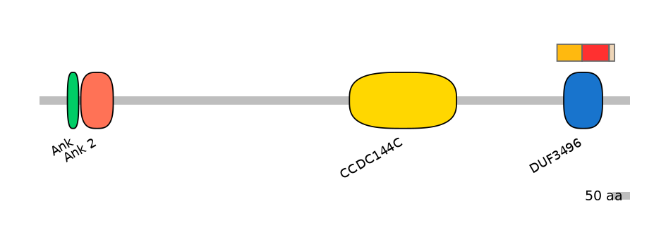 RnoEX6014806-INC