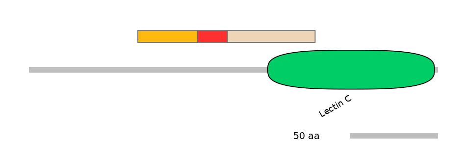 RnoEX6015320-INC