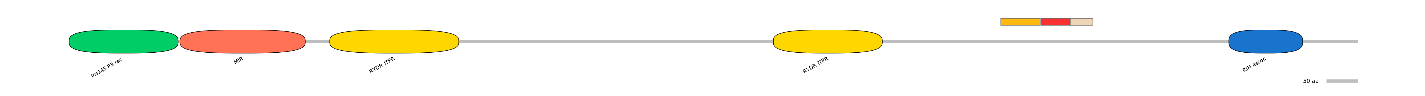 RnoEX6015641-INC