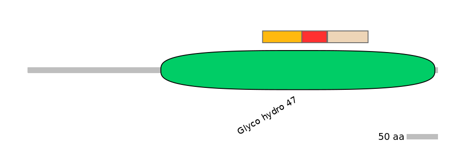 RnoEX6015827-INC