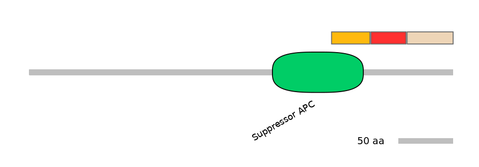 RnoEX6015831-INC