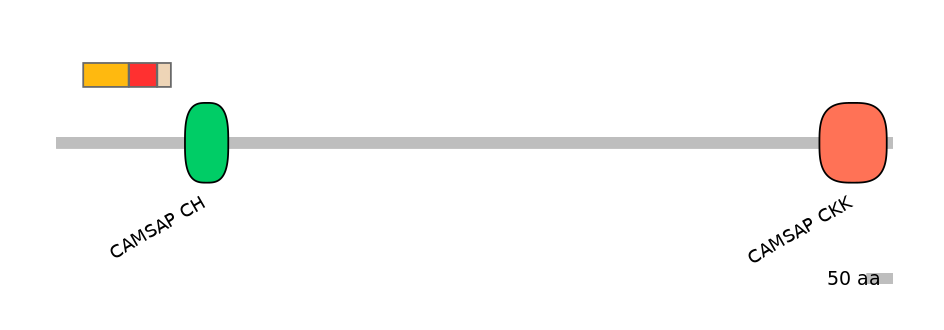 RnoEX6015932-INC