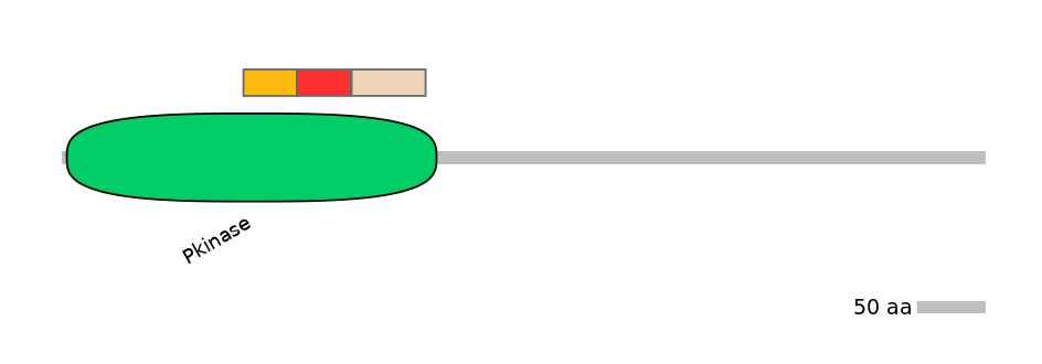 RnoEX6016043-INC