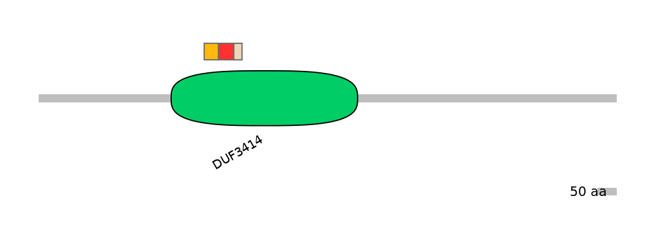 RnoEX6016294-INC
