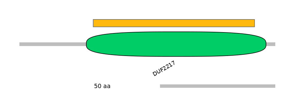 RnoEX6016308-EXC