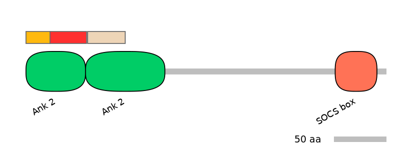 RnoEX6016335-INC