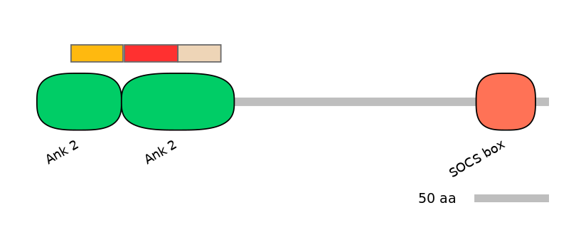 RnoEX6016336-INC