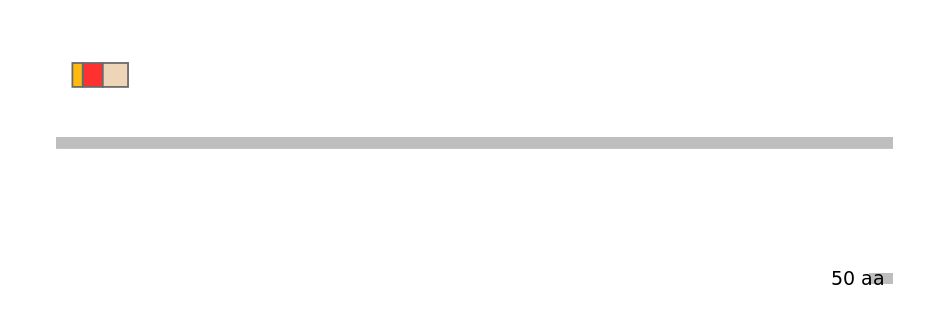 RnoEX6016409-INC