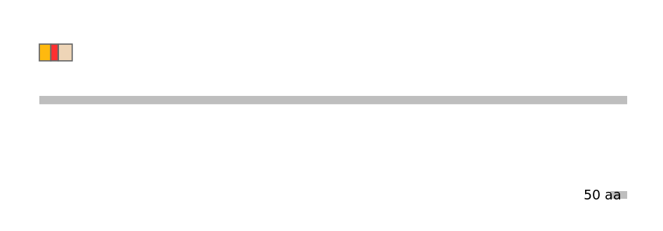 RnoEX6016410-INC